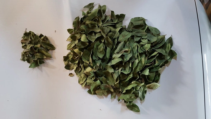 FARMART BSA55PN+M KURU DEFNE YAPRAĞI SİLKELEME MAKİNASI (ELEKTRİKLİ)